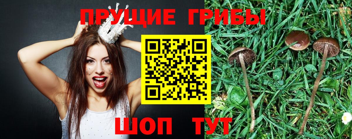 Кубинка  Псилоцибиновые грибы MAGIC MUSHROOMS  Вход с VPN 