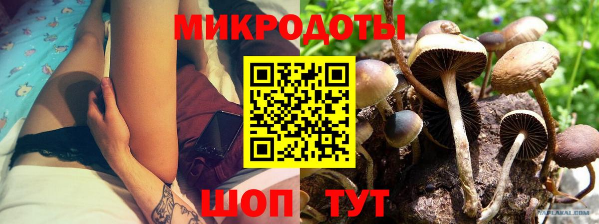 Галлюциногенные грибы прущие грибы Кубинка